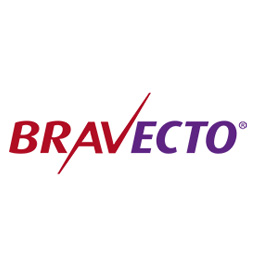 Bravecto flea treatment at Bayvet